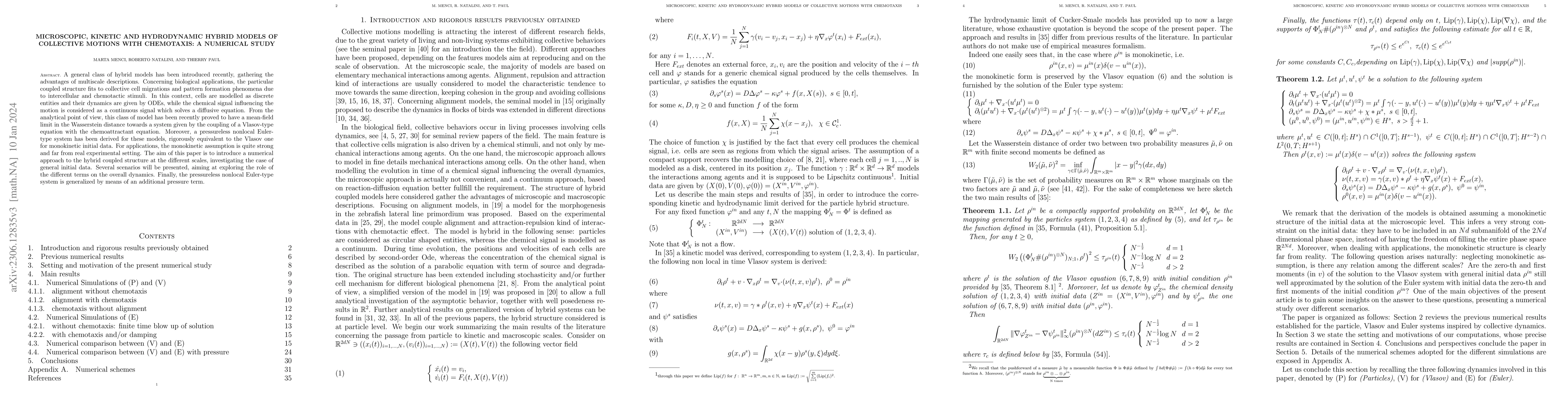 Thumbnail for Microscopic, kinetic and hydrodynamic hybrid models of collective
  motions withchemotaxis: a numerical study