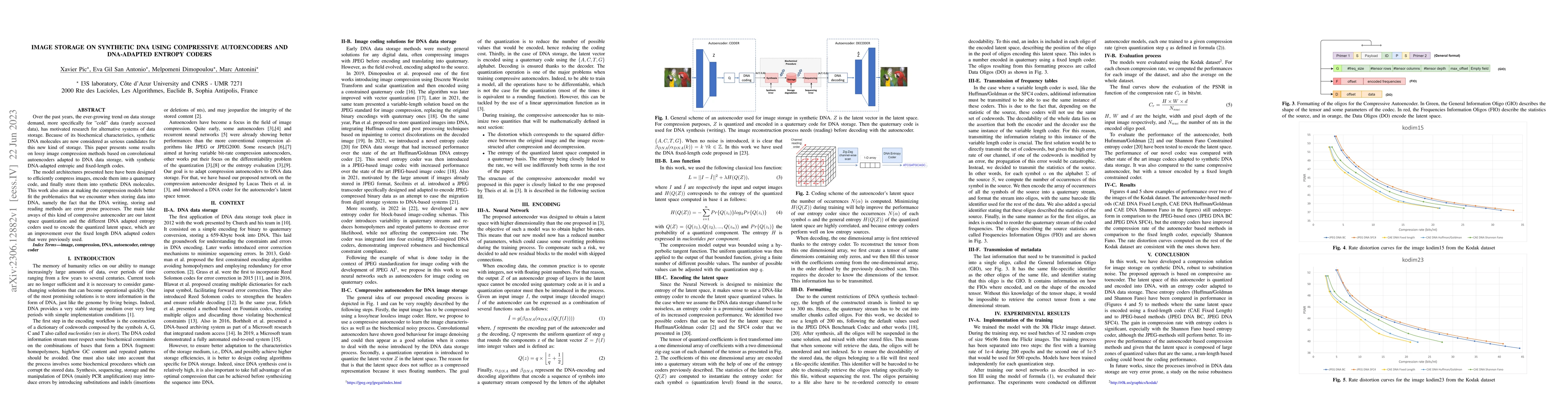 Thumbnail for Image storage on synthetic DNA using compressive autoencoders and
  DNA-adapted entropy coders