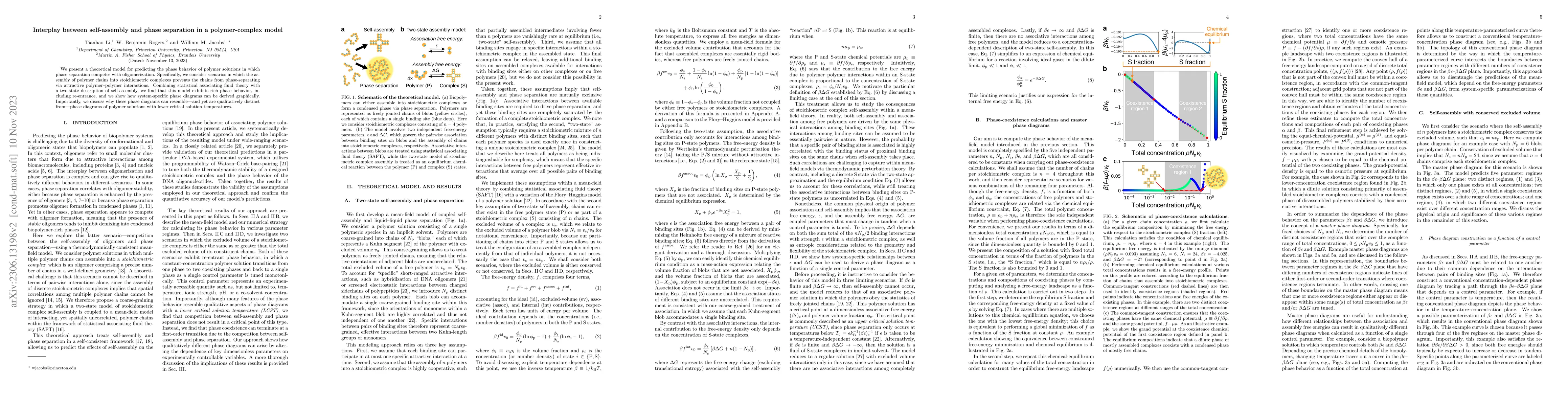 Thumbnail for Interplay between self-assembly and phase separation in a
  polymer-complex model