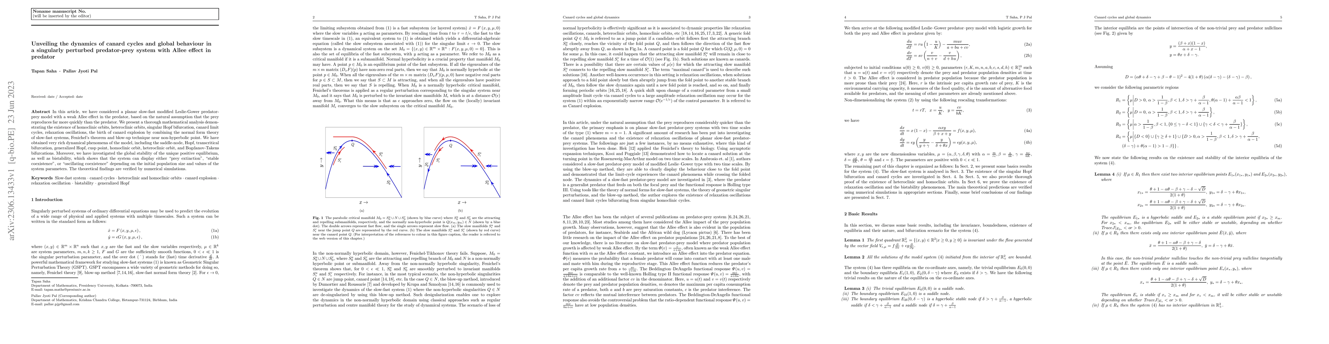 Thumbnail for Unveiling the dynamics of canard cycles and global behaviour in a
  singularly perturbed predator-prey system with Allee effect in predator