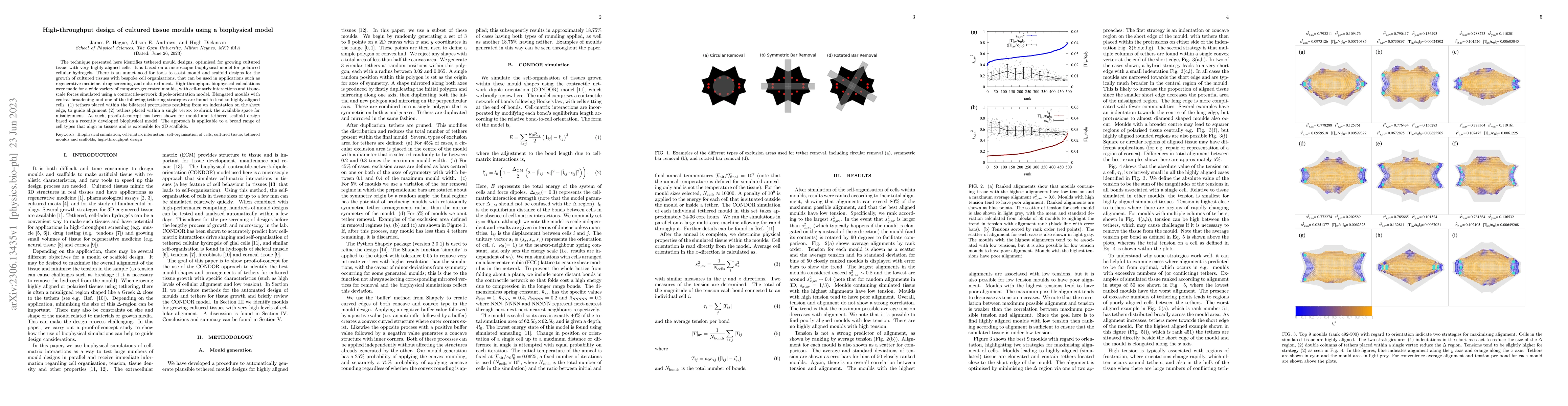 Thumbnail for High-throughput design of cultured tissue moulds using a biophysical
  model