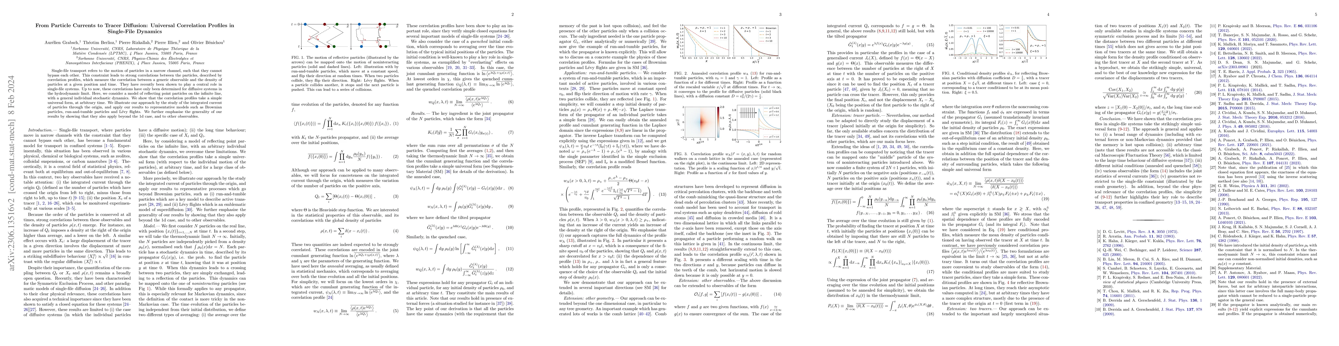 Thumbnail for From Particle Currents to Tracer Diffusion: Universal Correlation
  Profiles in Single-File Dynamics