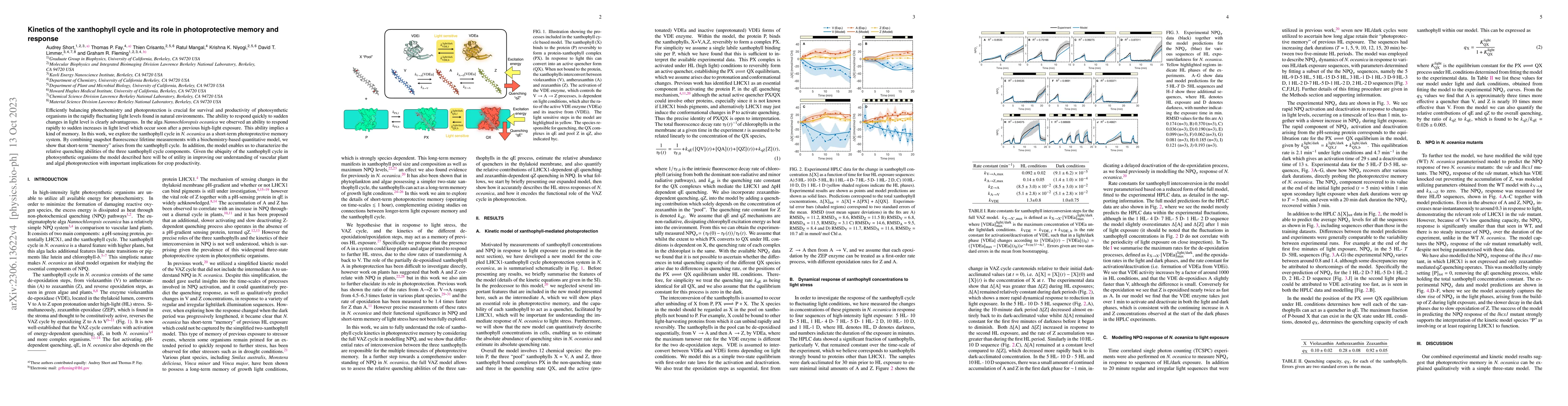 Thumbnail for Kinetics of the xanthophyll cycle and its role in photoprotective memory
  and response