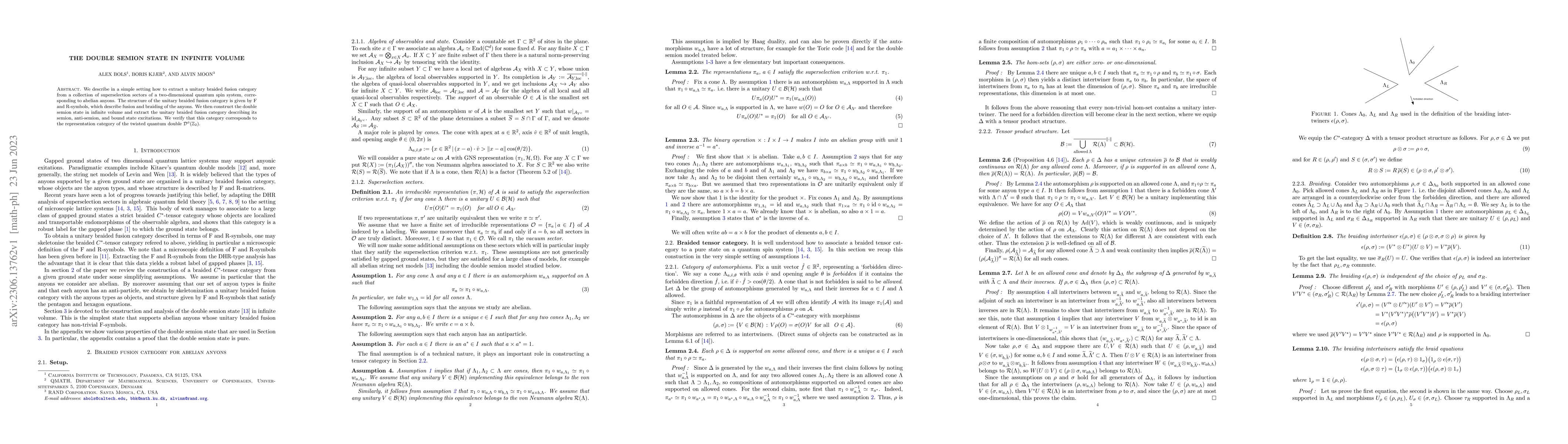Thumbnail for The double semion state in infinite volume