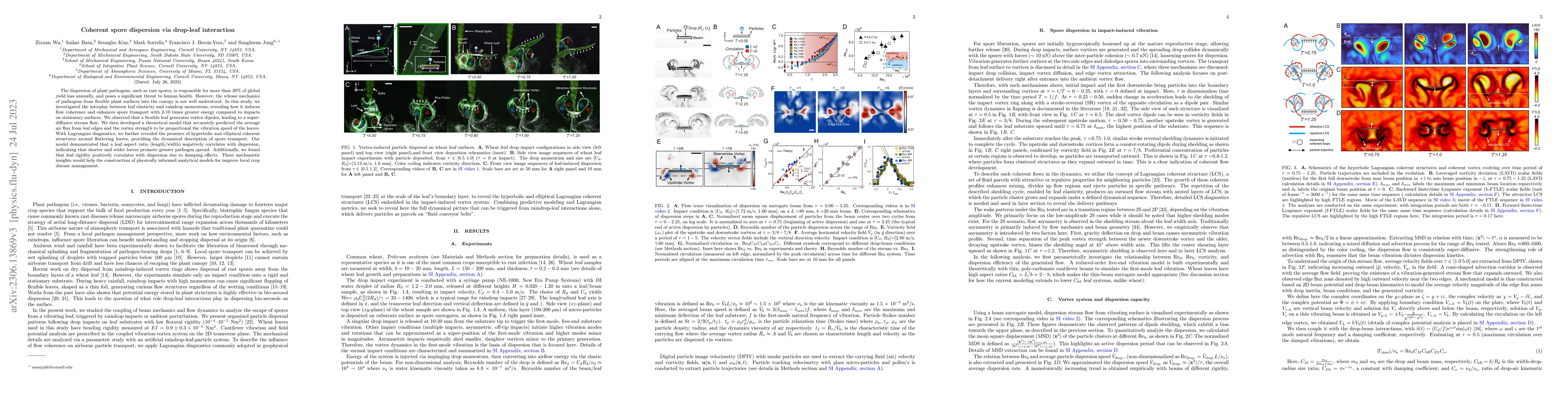 Thumbnail for Coherent spore dispersion via drop-leaf interactions