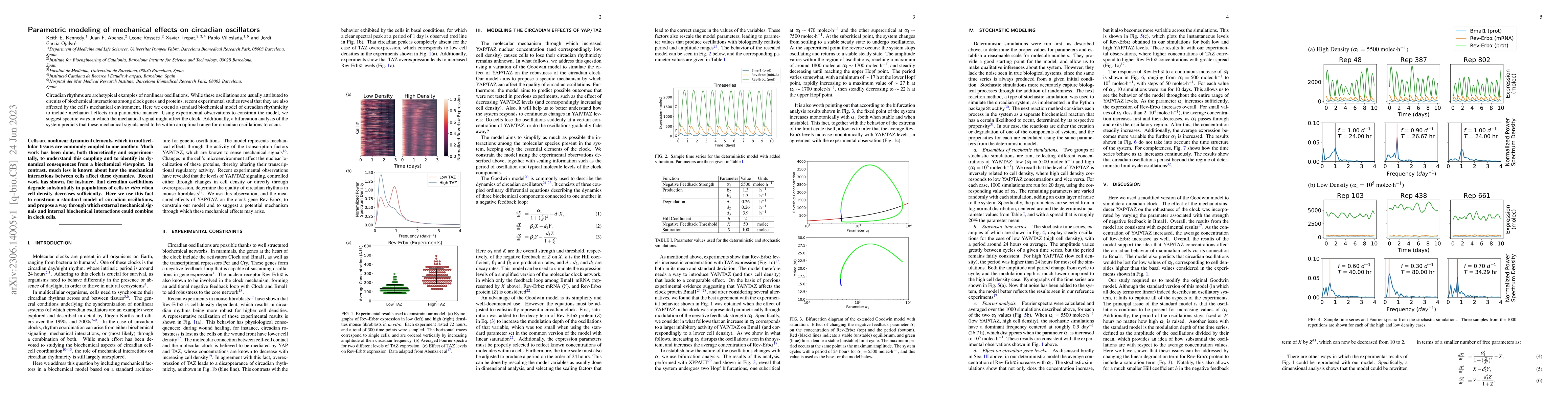 Thumbnail for Parametric modeling of mechanical effects on circadian oscillators