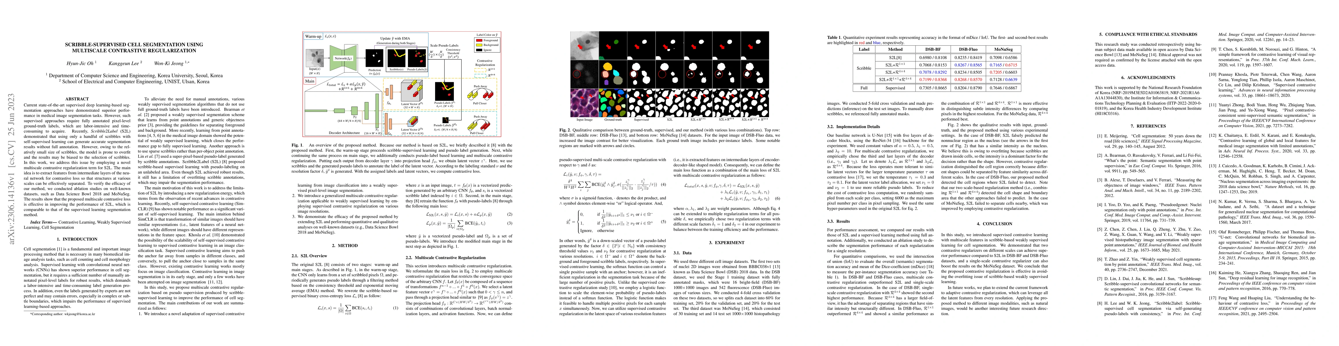 Thumbnail for Scribble-supervised Cell Segmentation Using Multiscale Contrastive
  Regularization