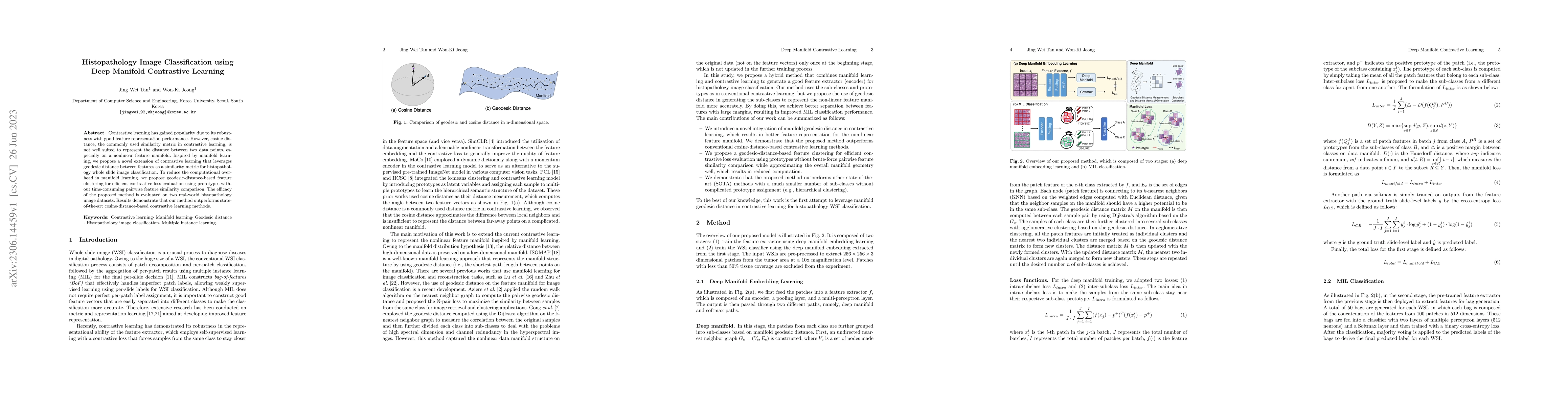 Thumbnail for Histopathology Image Classification using Deep Manifold Contrastive
  Learning