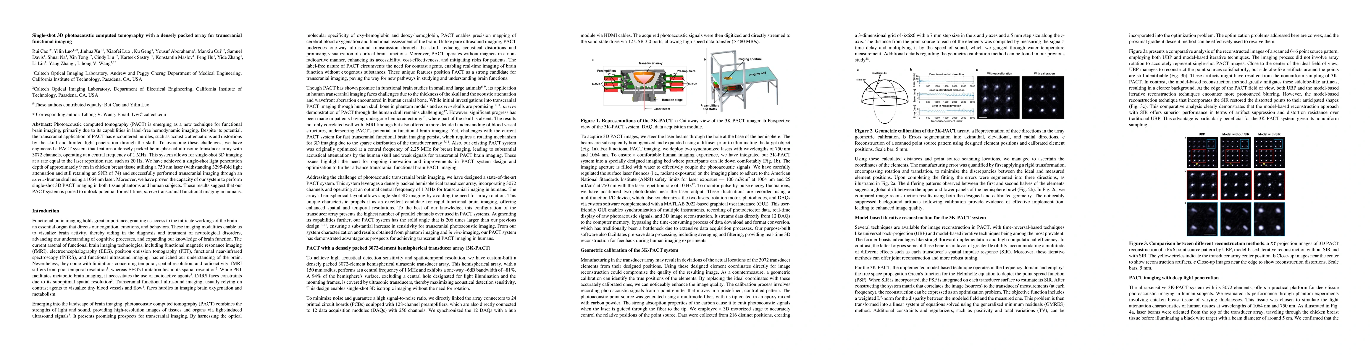 Thumbnail for Single-shot 3D photoacoustic computed tomography with a densely packed
  array for transcranial functional imaging