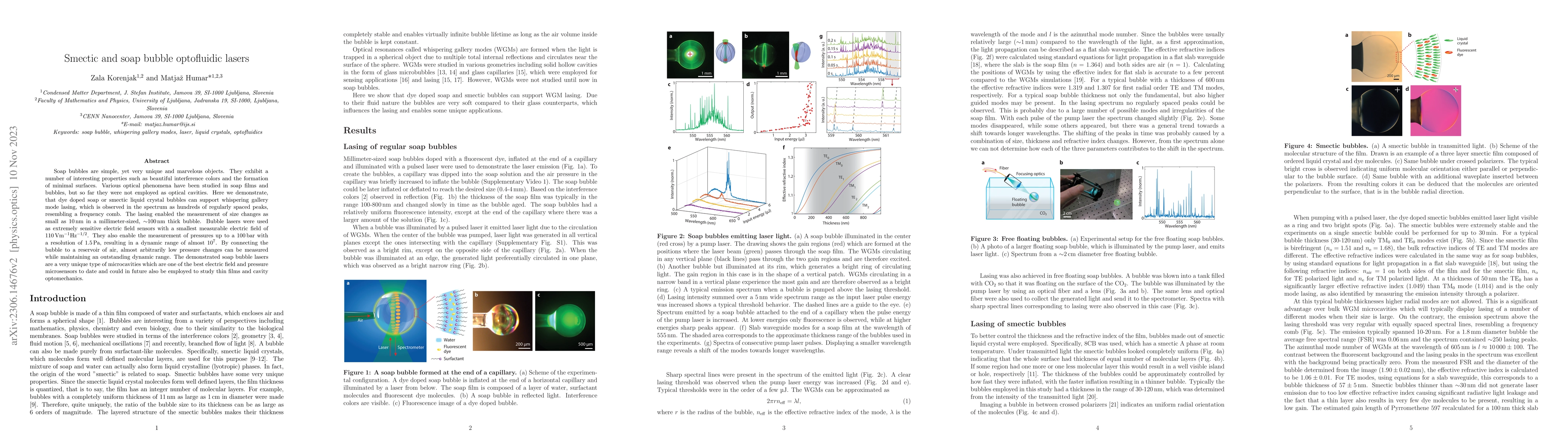 Thumbnail for Smectic and soap bubble optofluidic lasers