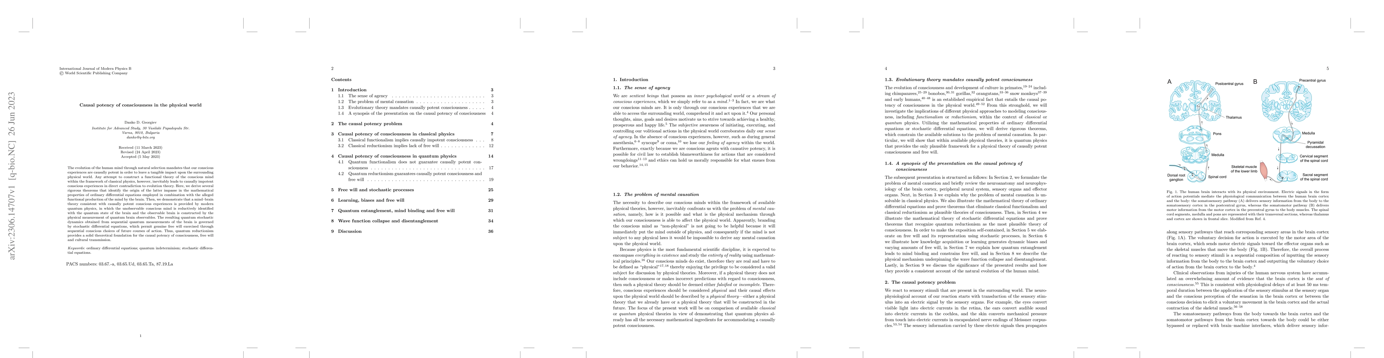 Thumbnail for Causal potency of consciousness in the physical world