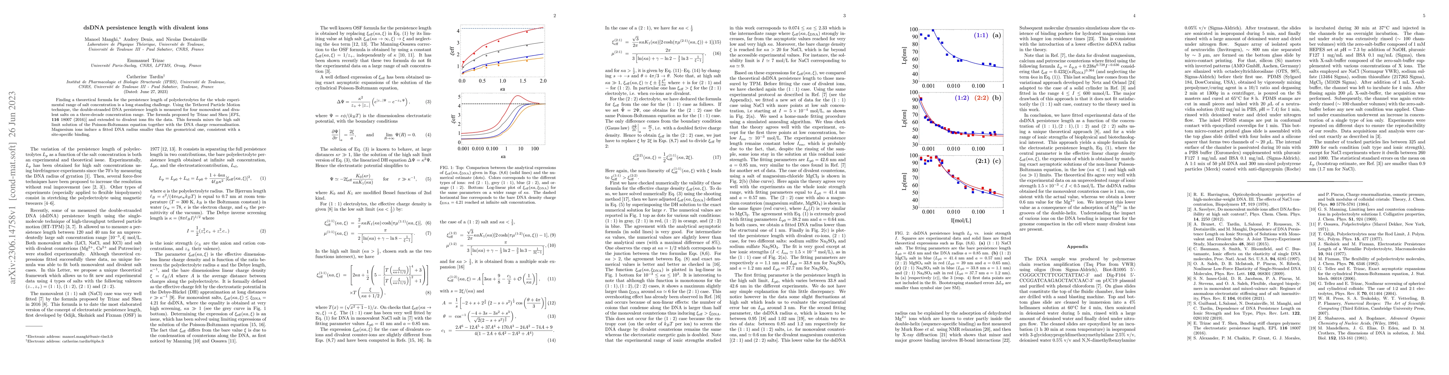 Thumbnail for dsDNA persistence length with divalent ions
