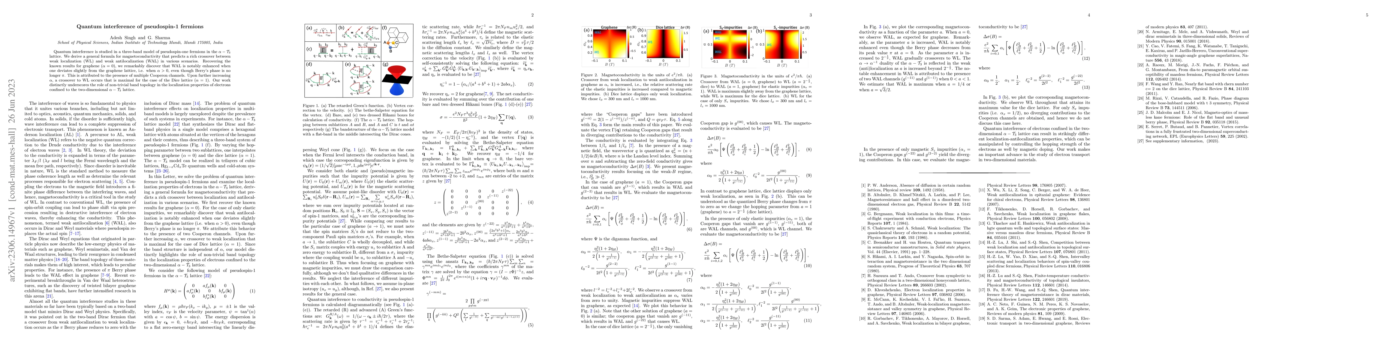 Thumbnail for Quantum interference of pseudospin-1 fermions