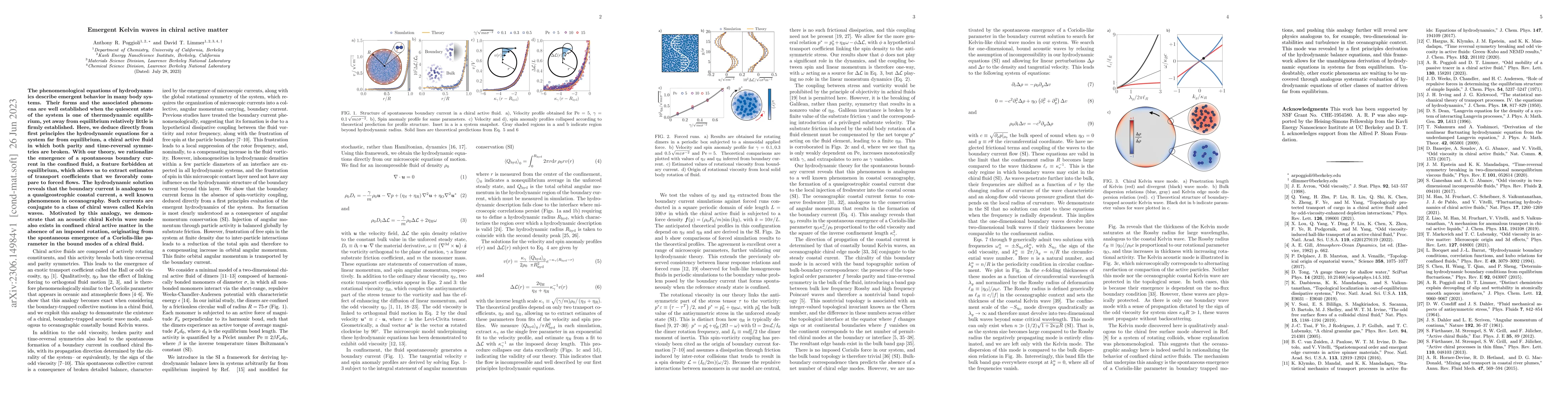Thumbnail for Emergent Kelvin waves in chiral active matter
