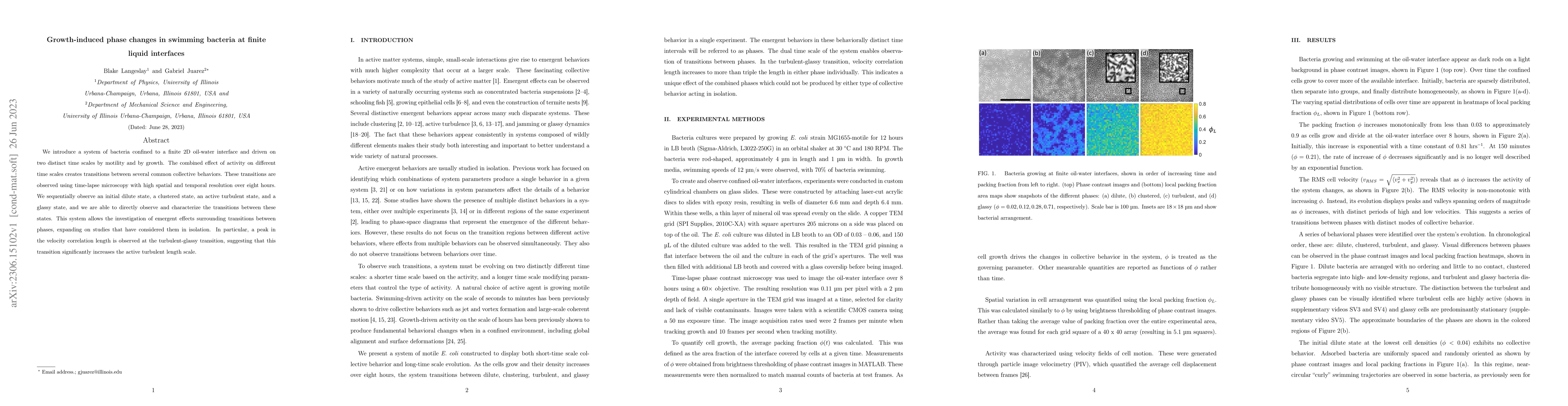 Thumbnail for Growth-induced phase changes in swimming bacteria at finite liquid
  interfaces