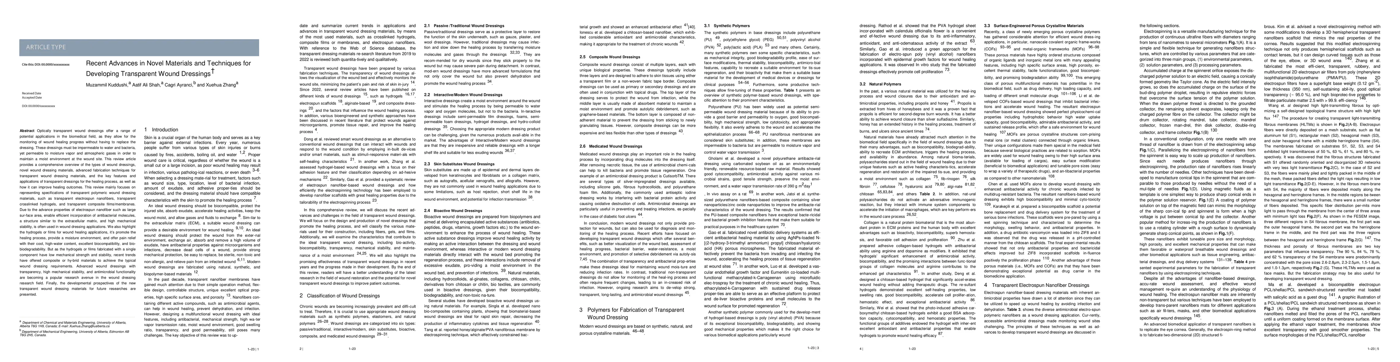Thumbnail for Recent Advances in Novel Materials and Techniques for Developing
  Transparent Wound Dressings
