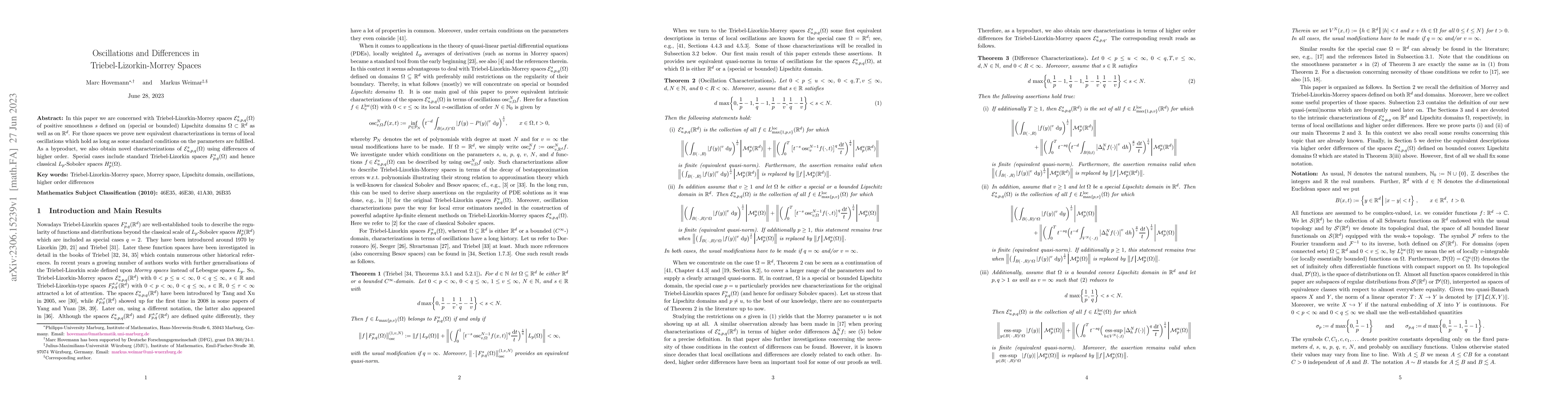 Thumbnail for Oscillations and differences in Triebel-Lizorkin-Morrey spaces