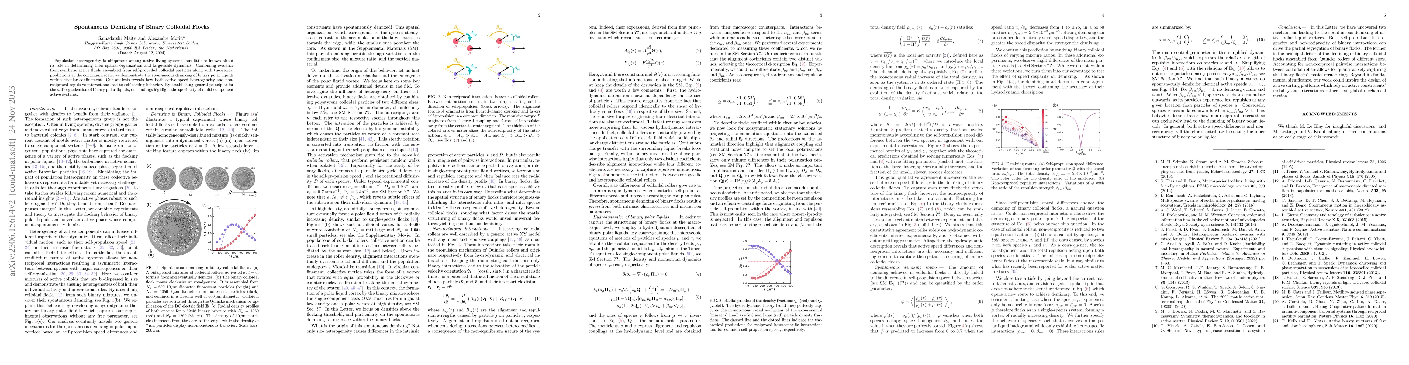 Thumbnail for Spontaneous Demixing of Binary Colloidal Flocks