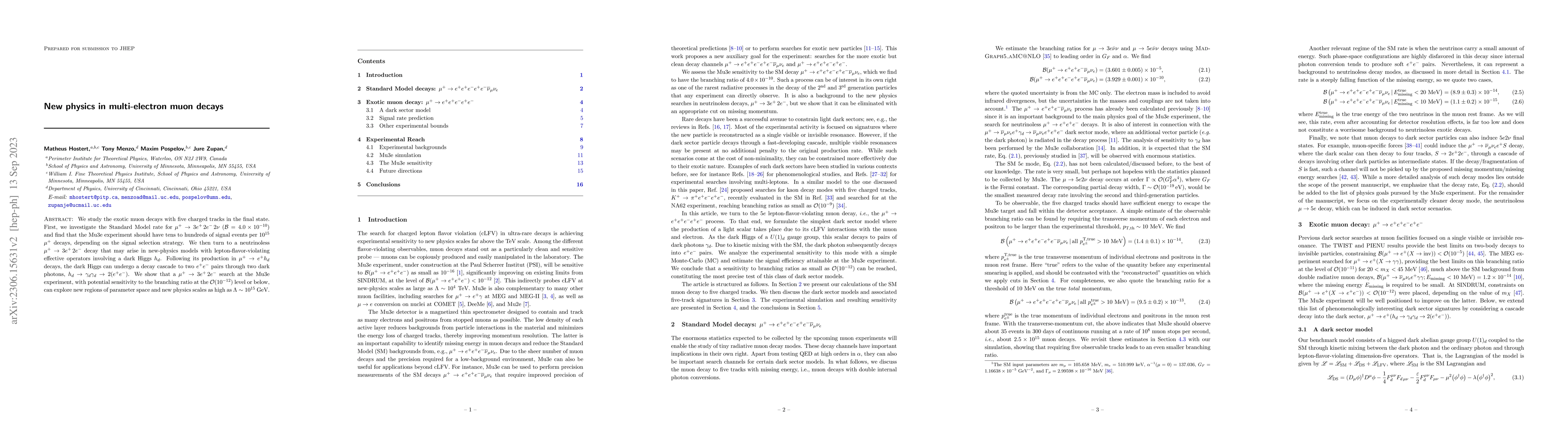 Thumbnail for New physics in multi-electron muon decays