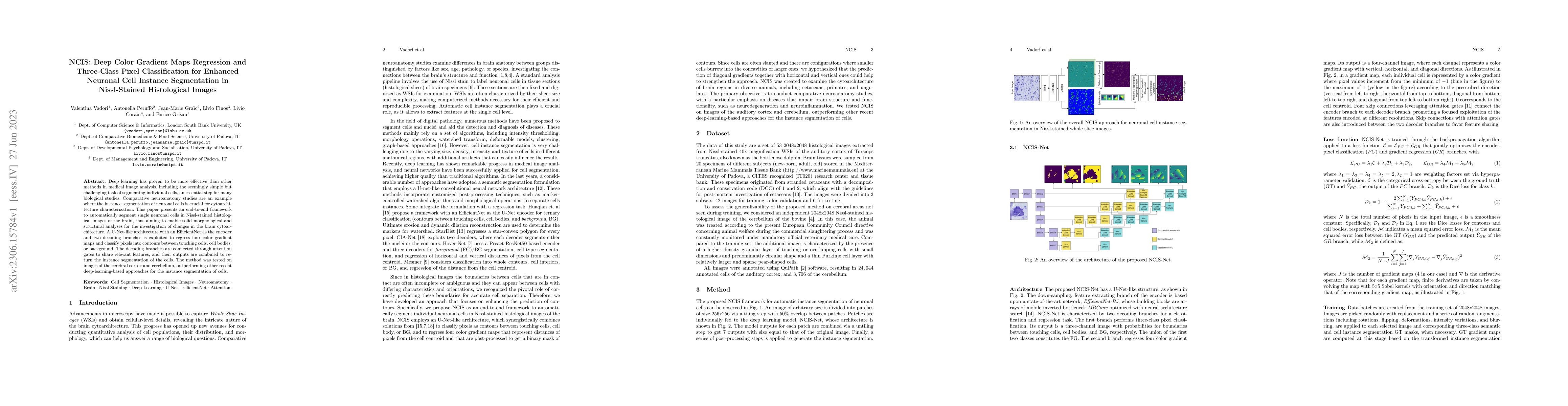 Thumbnail for NCIS: Deep Color Gradient Maps Regression and Three-Class Pixel
  Classification for Enhanced Neuronal Cell Instance Segmentation in
  Nissl-Stained Histological Images