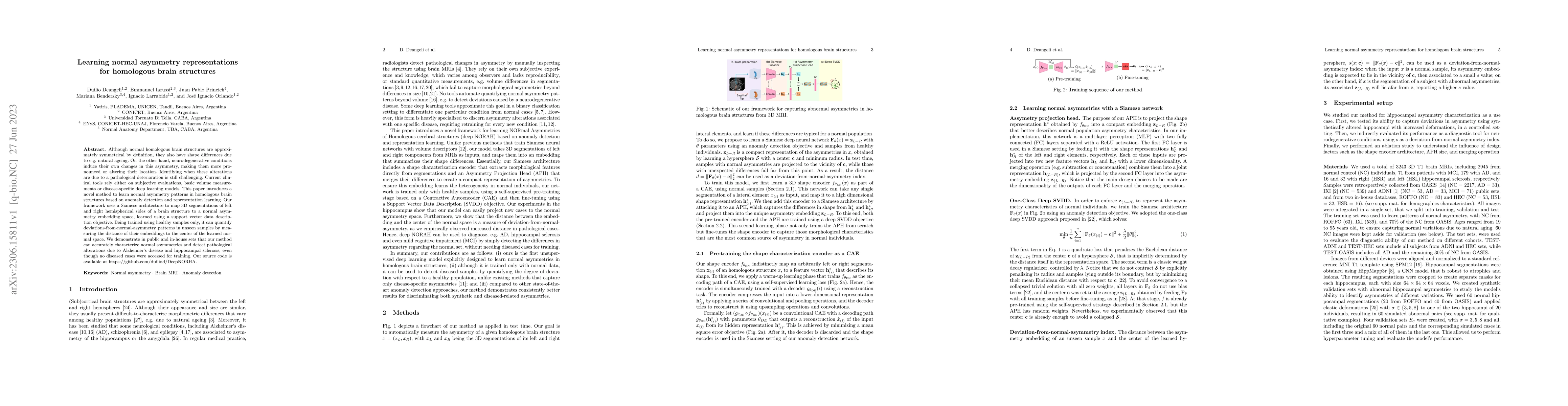 Thumbnail for Learning normal asymmetry representations for homologous brain
  structures
