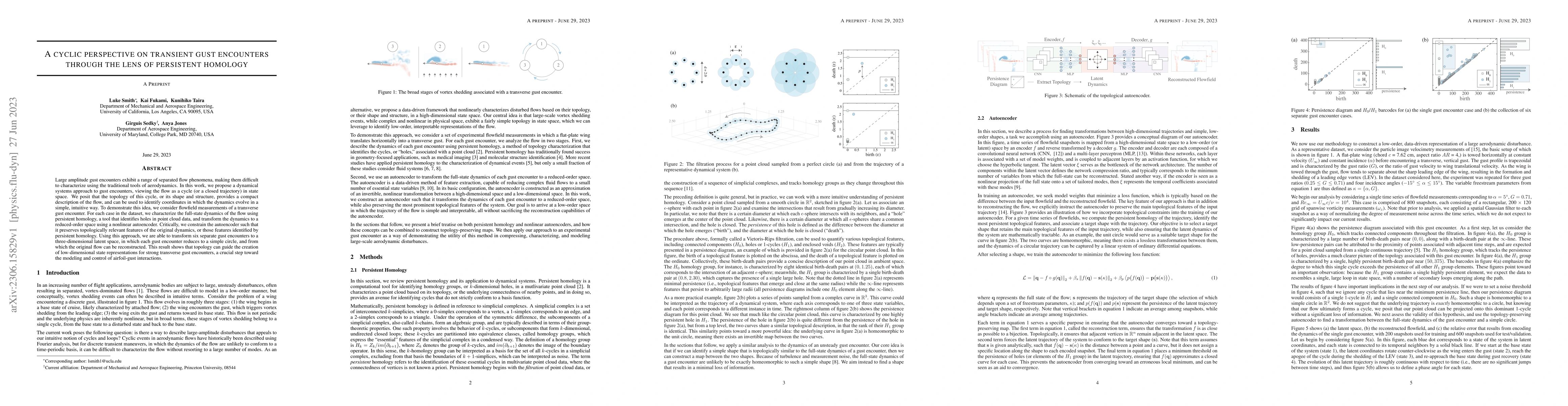 Thumbnail for A cyclic perspective on transient gust encounters through the lens of
  persistent homology