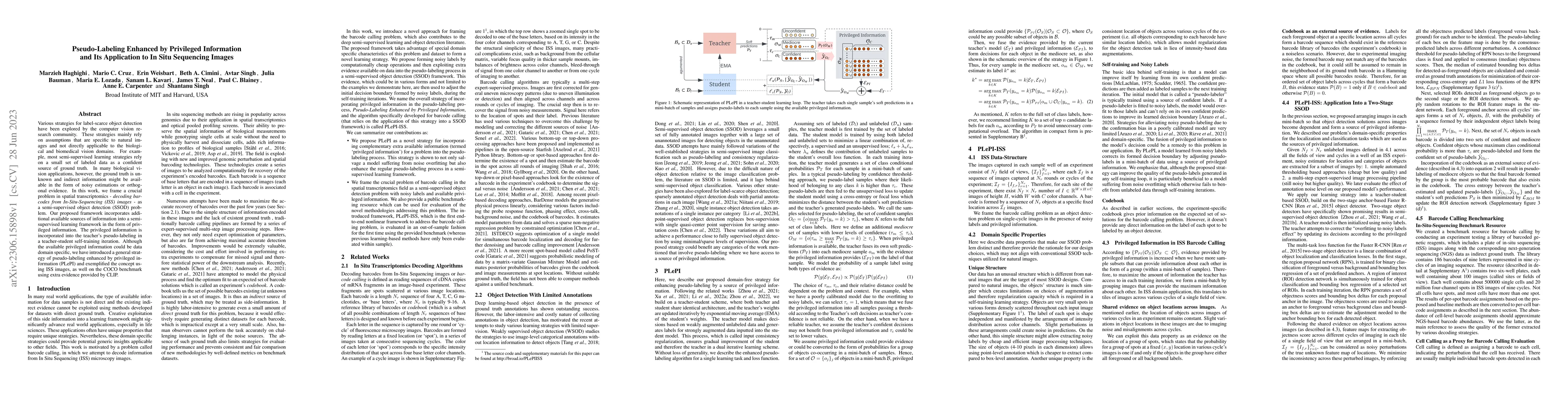 Thumbnail for Pseudo-Labeling Enhanced by Privileged Information and Its Application
  to In Situ Sequencing Images