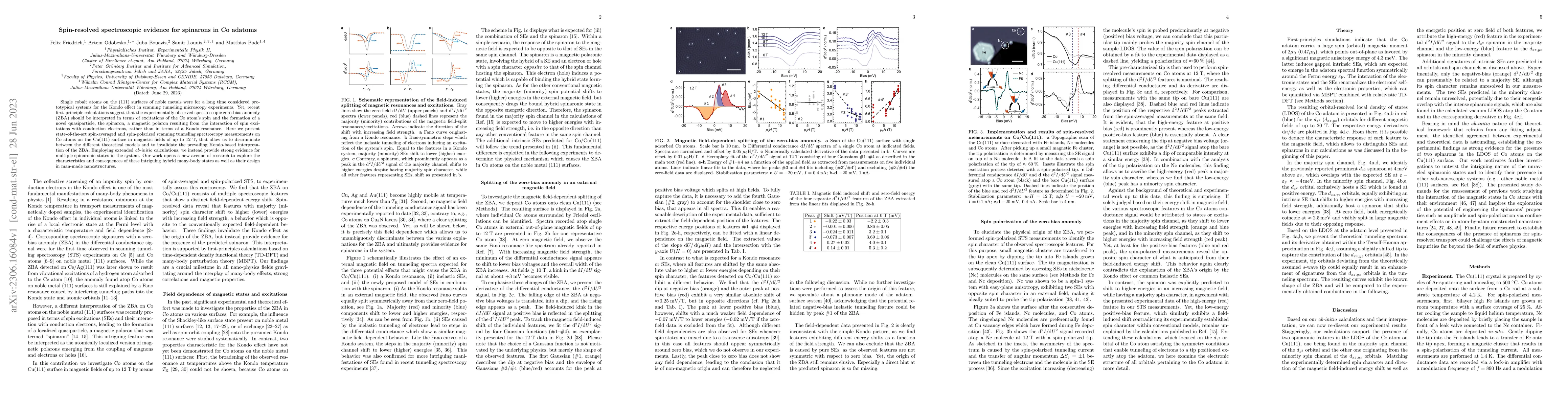 Thumbnail for Spin-resolved spectroscopic evidence for spinarons in Co adatoms