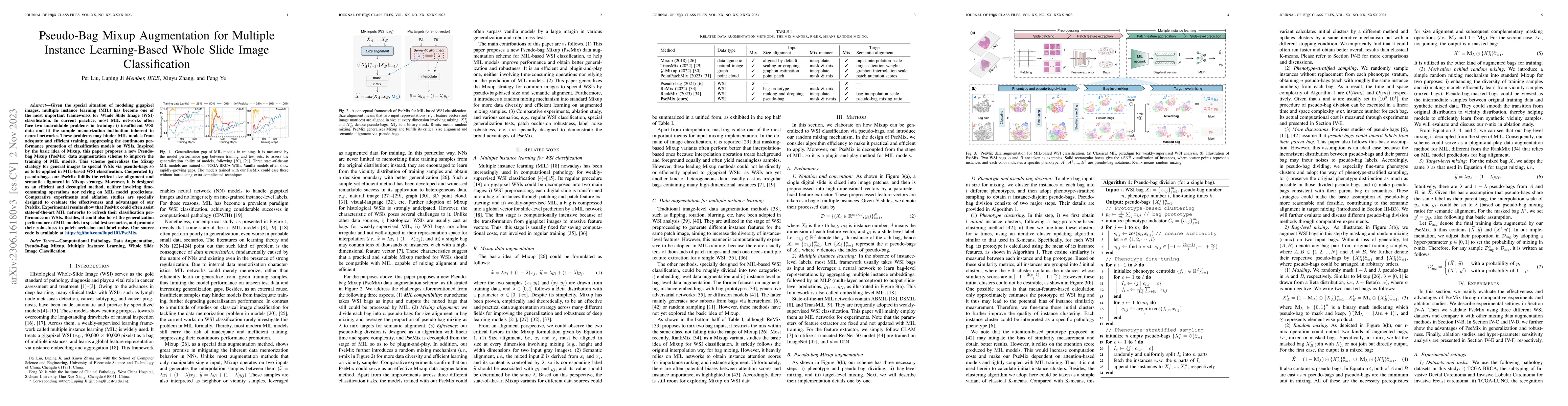 Thumbnail for Pseudo-Bag Mixup Augmentation for Multiple Instance Learning-Based Whole
  Slide Image Classification