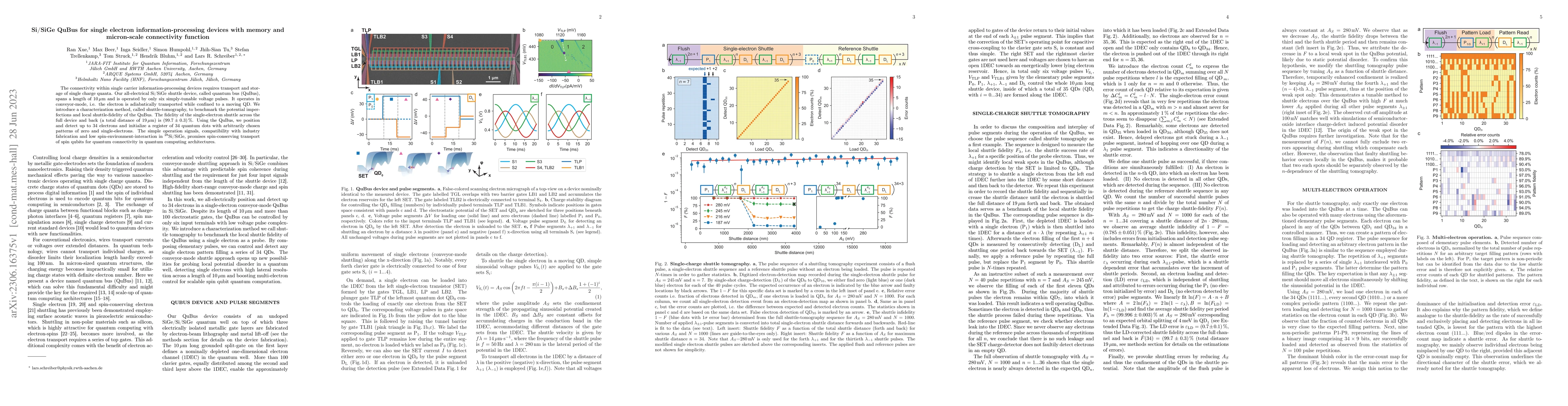 Thumbnail for Si/SiGe QuBus for single electron information-processing devices with
  memory and micron-scale connectivity function