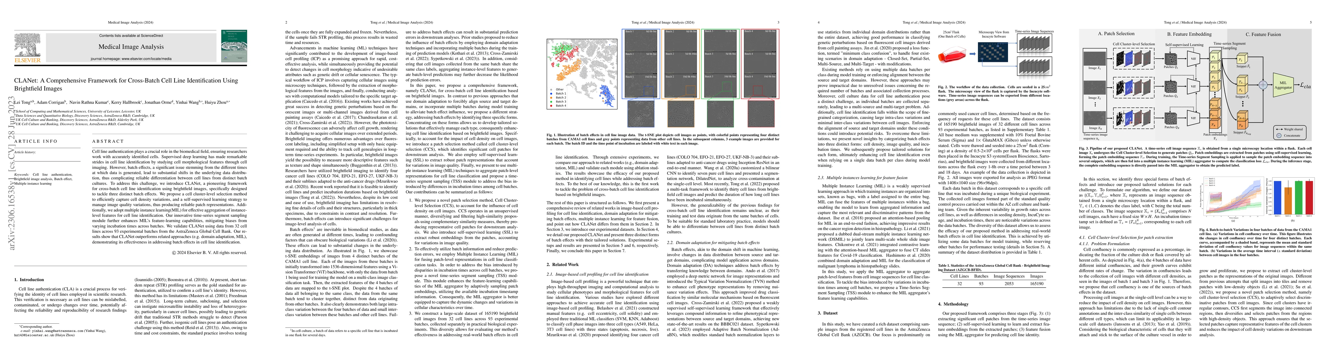Thumbnail for CLANet: A Comprehensive Framework for Cross-Batch Cell Line
  Identification Using Brightfield Images