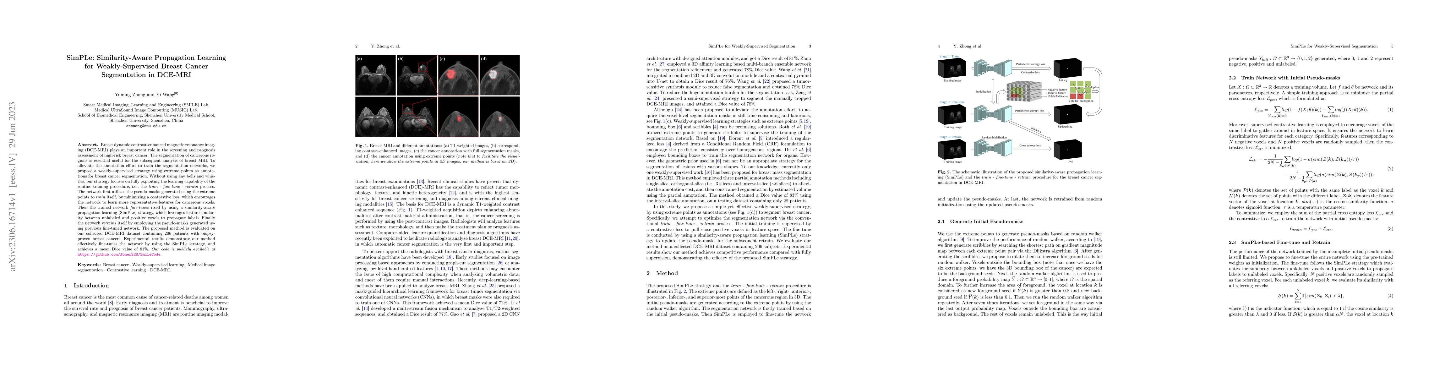 Thumbnail for SimPLe: Similarity-Aware Propagation Learning for Weakly-Supervised
  Breast Cancer Segmentation in DCE-MRI