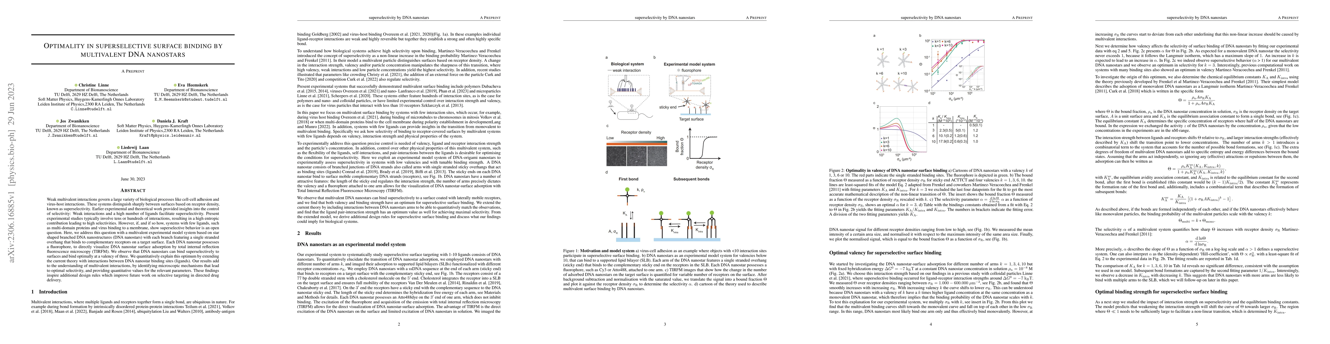 Thumbnail for Optimality in superselective surface binding by multivalent DNA
  nanostars