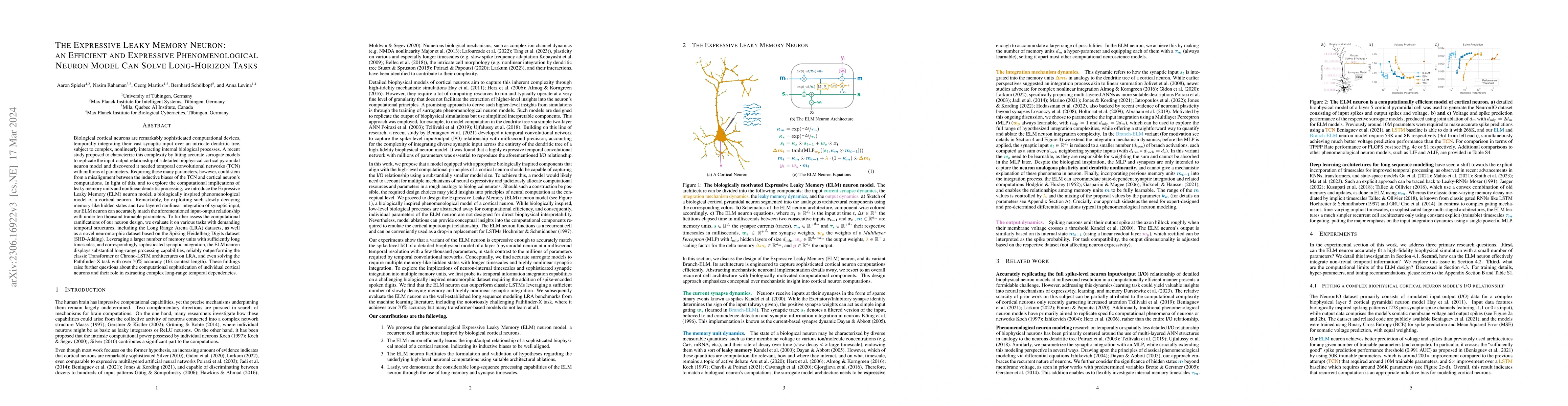 Thumbnail for The Expressive Leaky Memory Neuron: an Efficient and Expressive
  Phenomenological Neuron Model Can Solve Long-Horizon Tasks