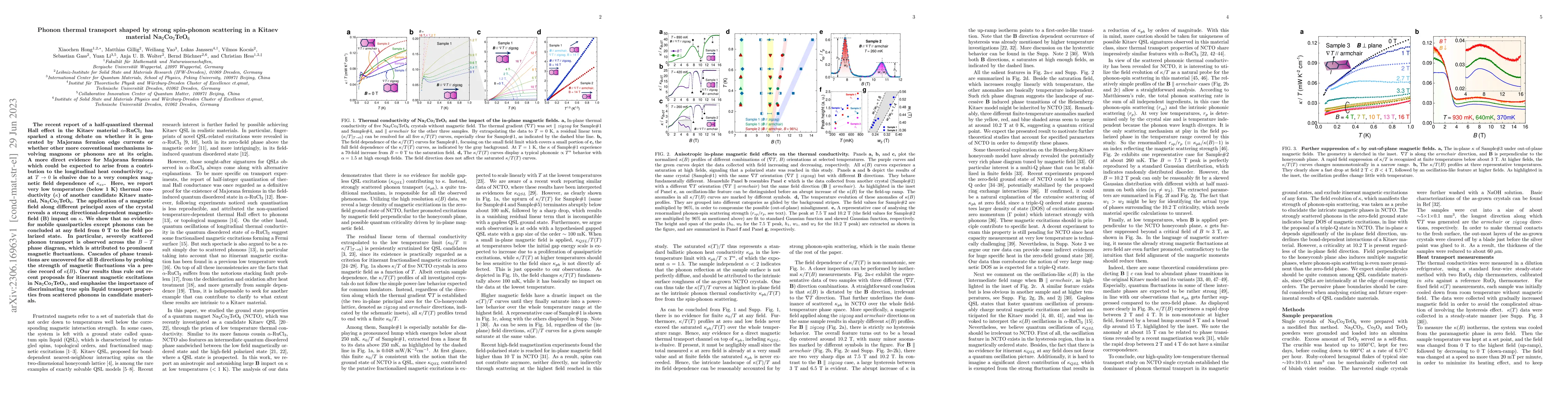Thumbnail for Phonon thermal transport shaped by strong spin-phonon scattering in a
  Kitaev material Na$_2$Co$_2$TeO$_6$