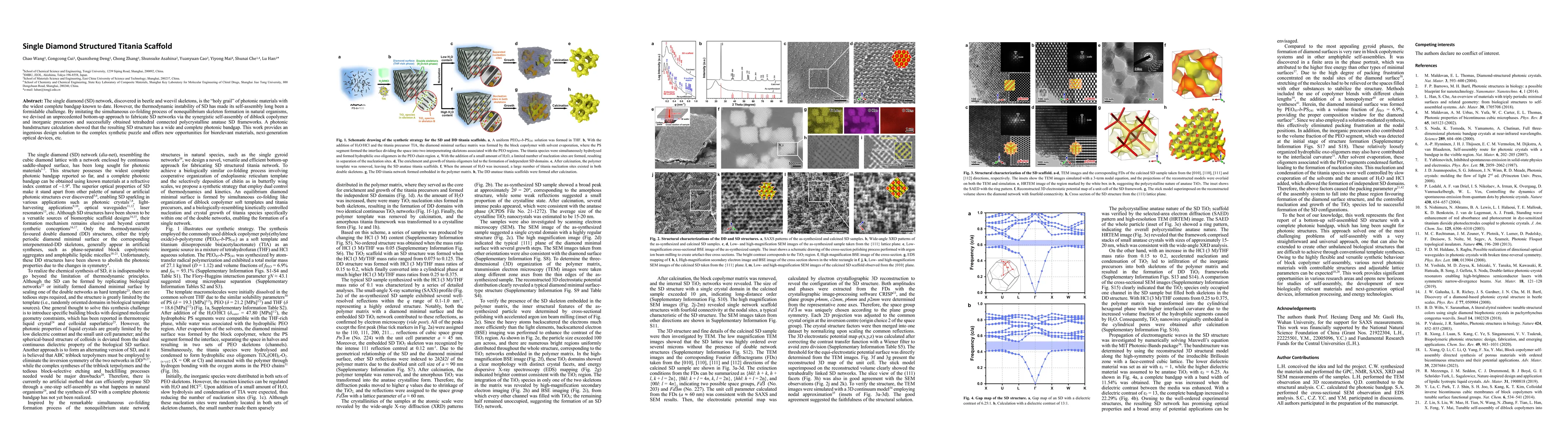 Thumbnail for Single Diamond Structured Titania Scaffold