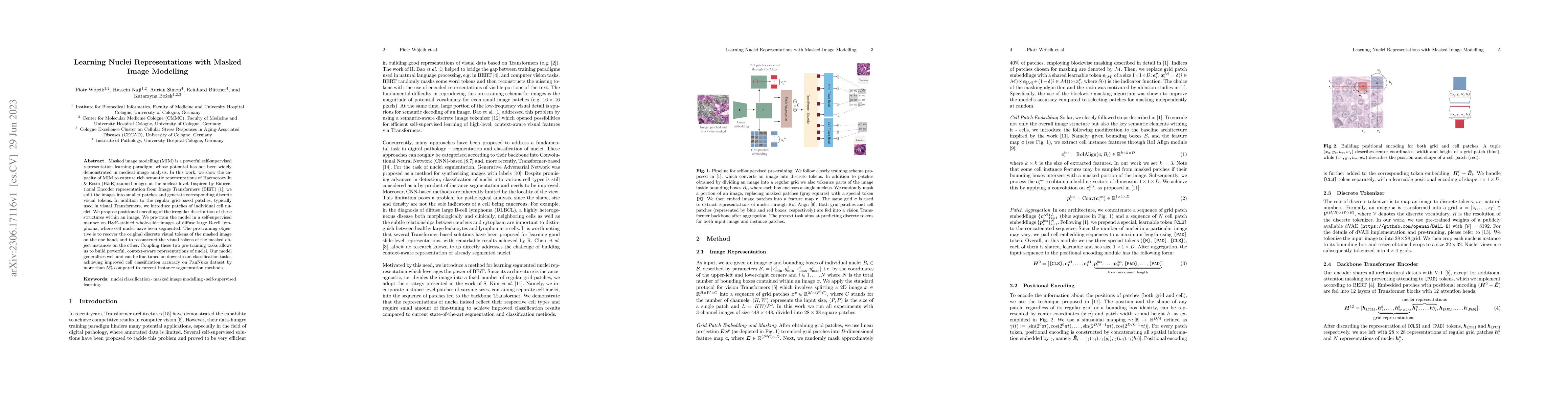 Thumbnail for Learning Nuclei Representations with Masked Image Modelling