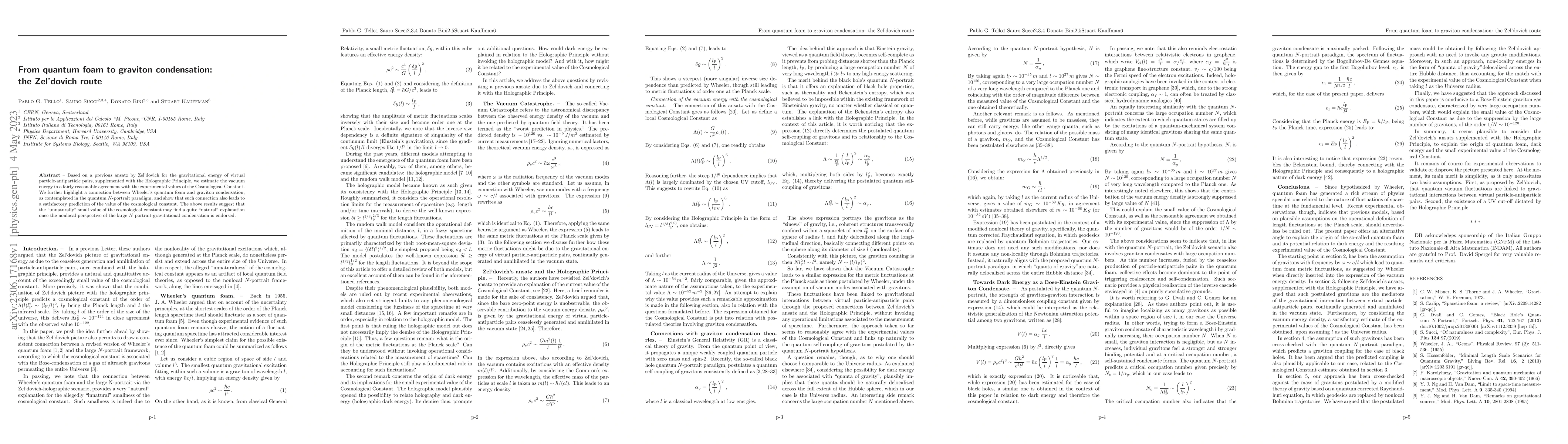 Thumbnail for From quantum foam to graviton condensation: the Zel'dovich route
