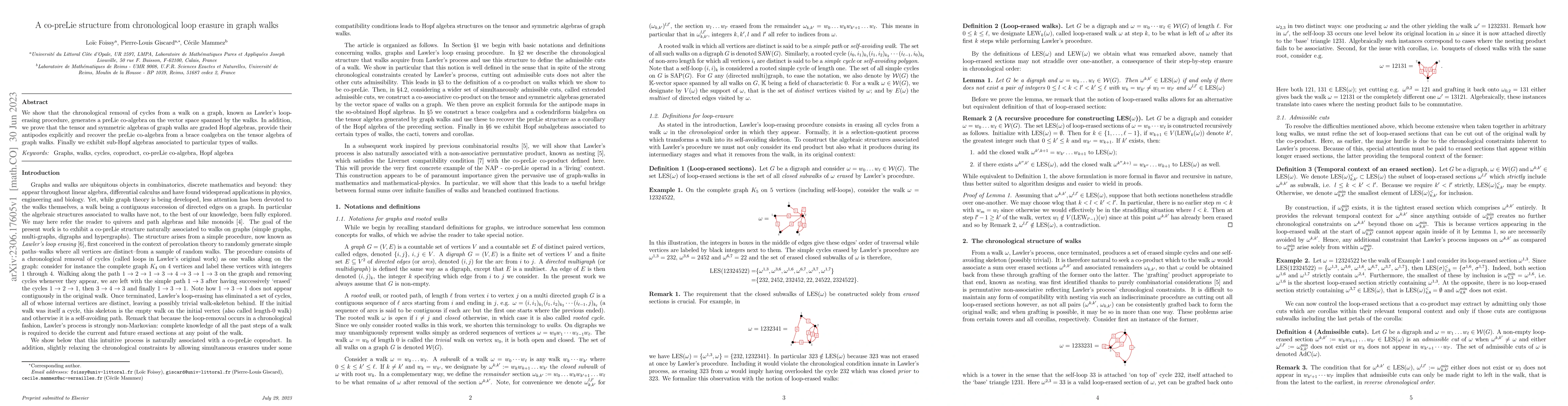 Thumbnail for A co-preLie structure from chronological loop erasure in graph walks