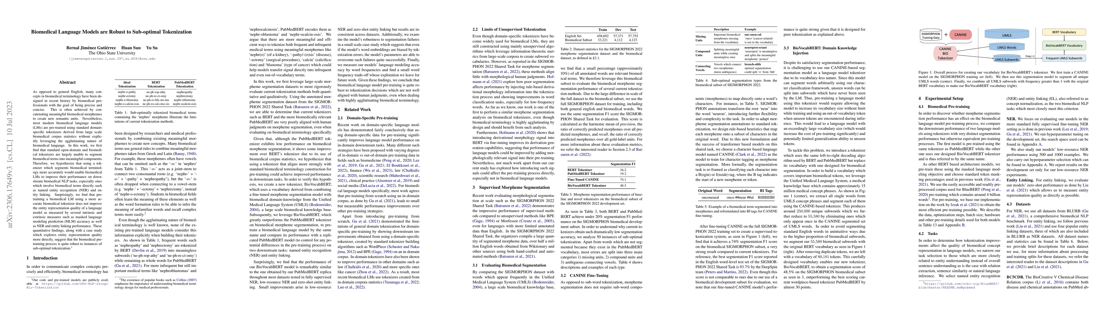 Thumbnail for Biomedical Language Models are Robust to Sub-optimal Tokenization