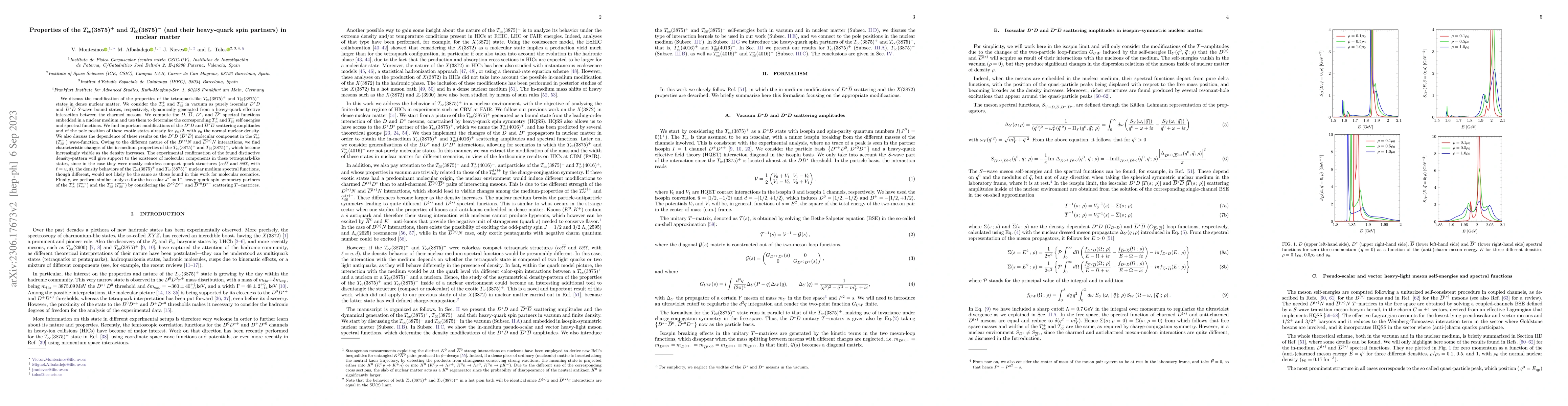 Thumbnail for Properties of the $T_{cc}(3875)^+$ and $T_{\bar c\bar c}(3875)^-$ (and
  their heavy-quark spin partners) in nuclear matter