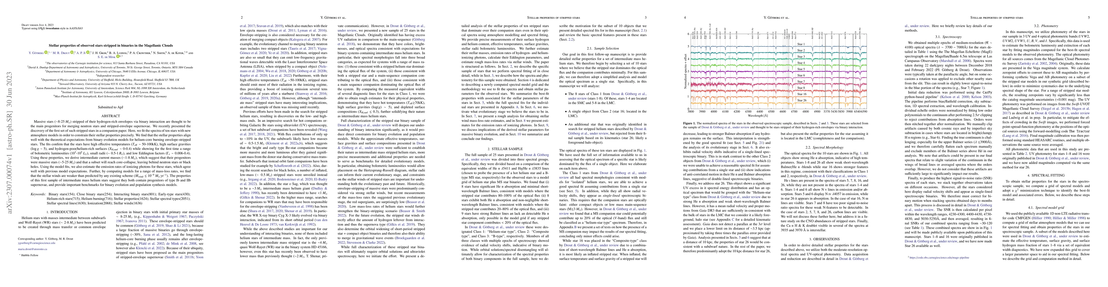 Thumbnail for Stellar properties of observed stars stripped in binaries in the
  Magellanic Clouds