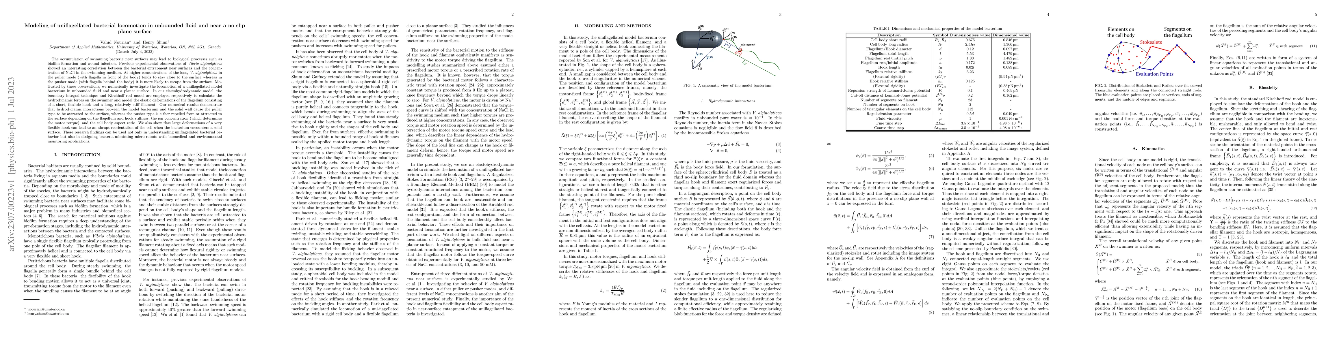 Thumbnail for Modeling of uniflagellated bacterial locomotion in unbounded fluid and
  near a no-slip plane surface