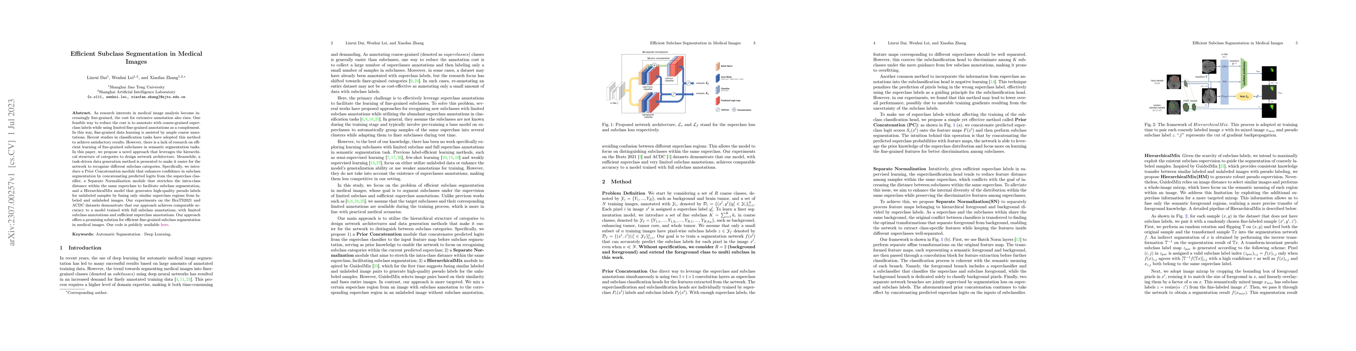 Thumbnail for Efficient Subclass Segmentation in Medical Images