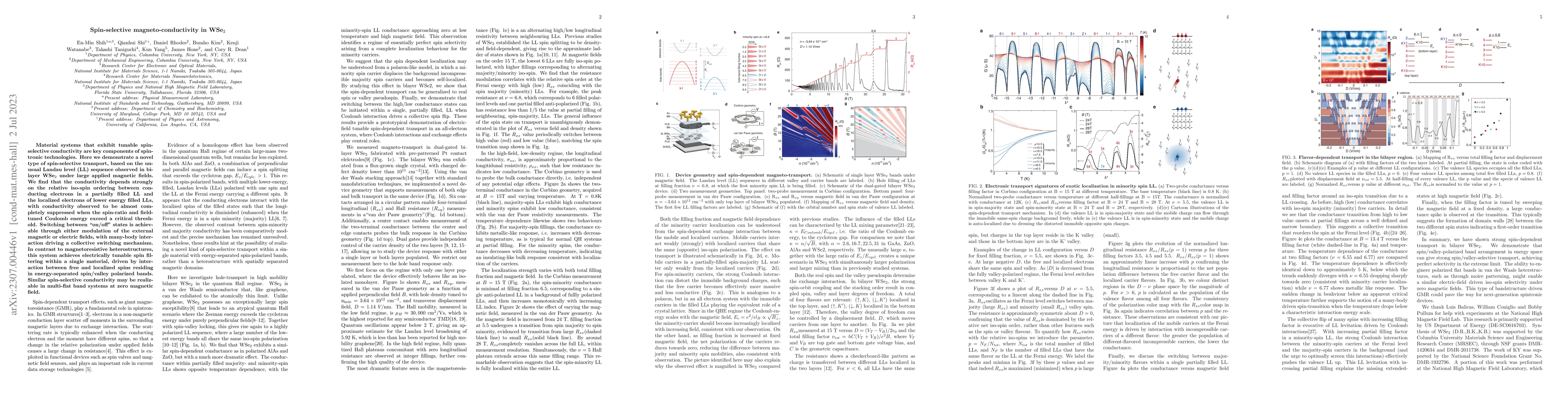 Thumbnail for Spin-selective magneto-conductivity in WSe$_2$