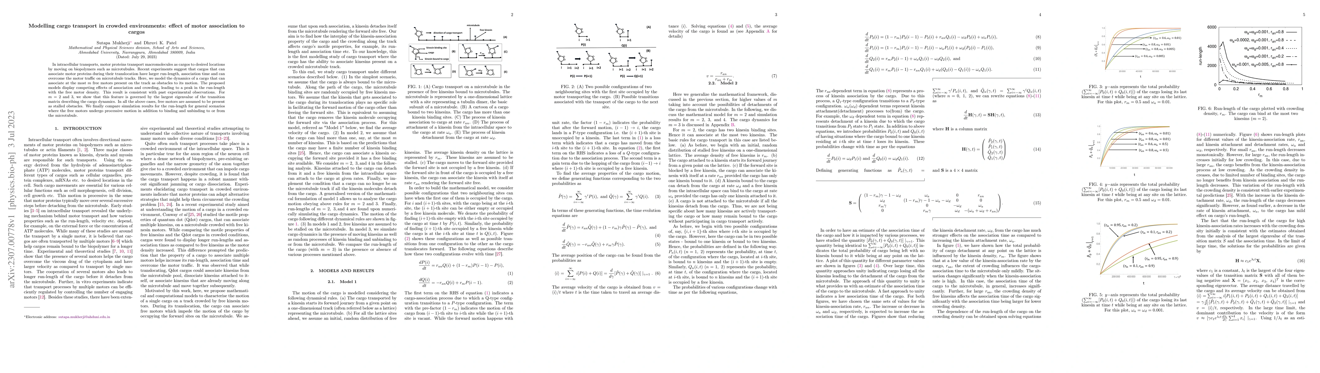 Thumbnail for Modelling cargo transport in crowded environments: effect of motor
  association to cargos