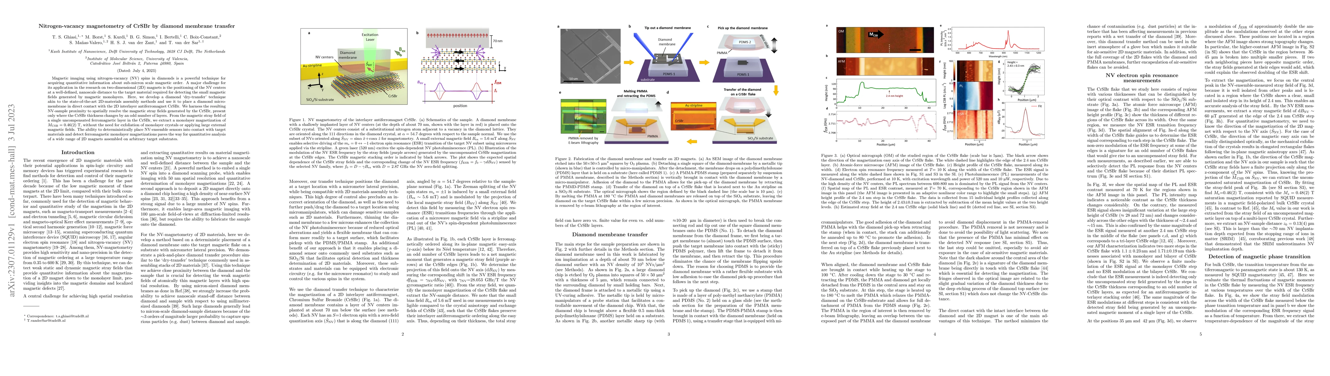 Thumbnail for Nitrogen-vacancy magnetometry of CrSBr by diamond membrane transfer