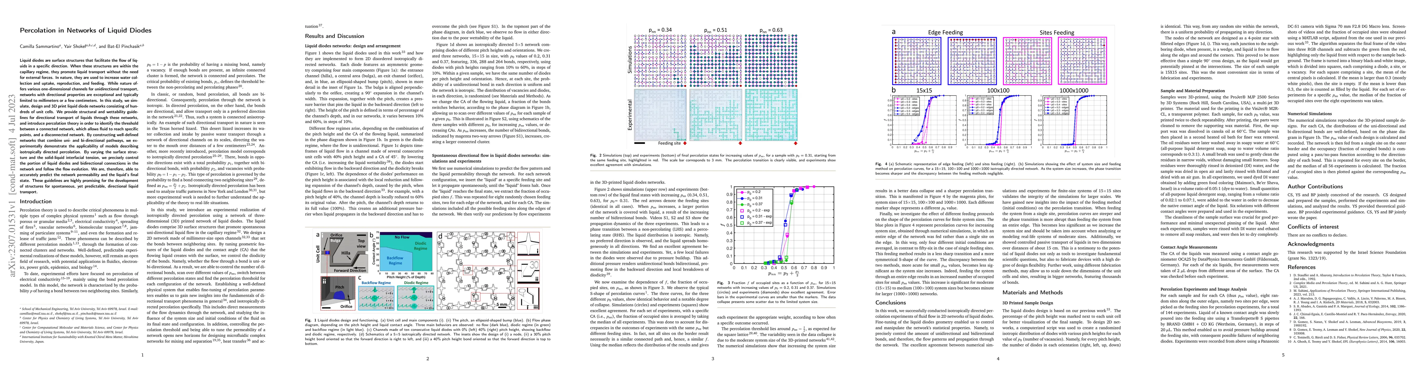 Thumbnail for Percolation in Networks of Liquid Diodes