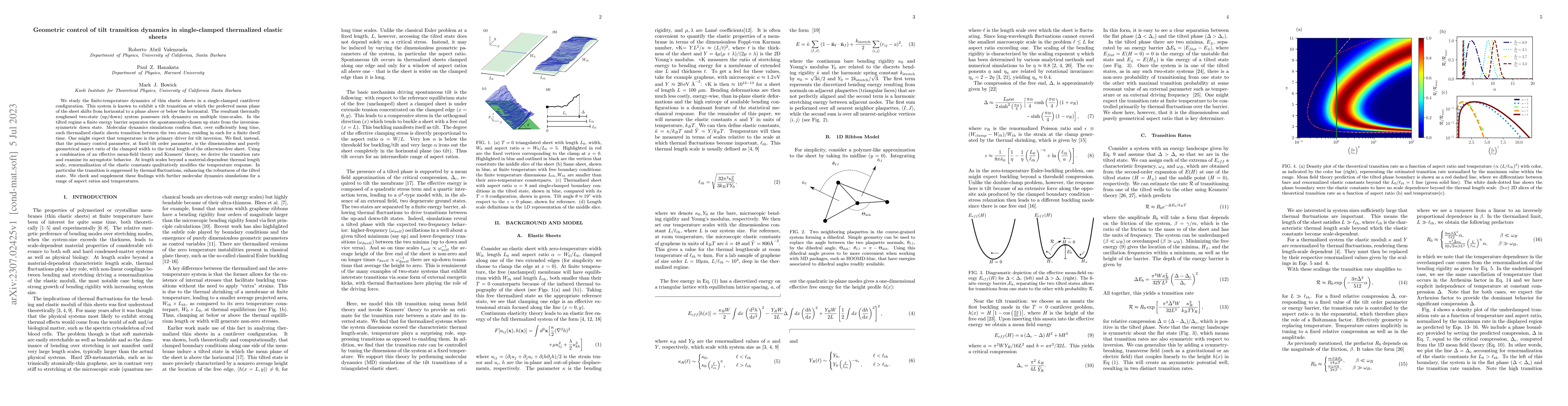 Thumbnail for Geometric control of tilt transition dynamics in single-clamped
  thermalized elastic sheets