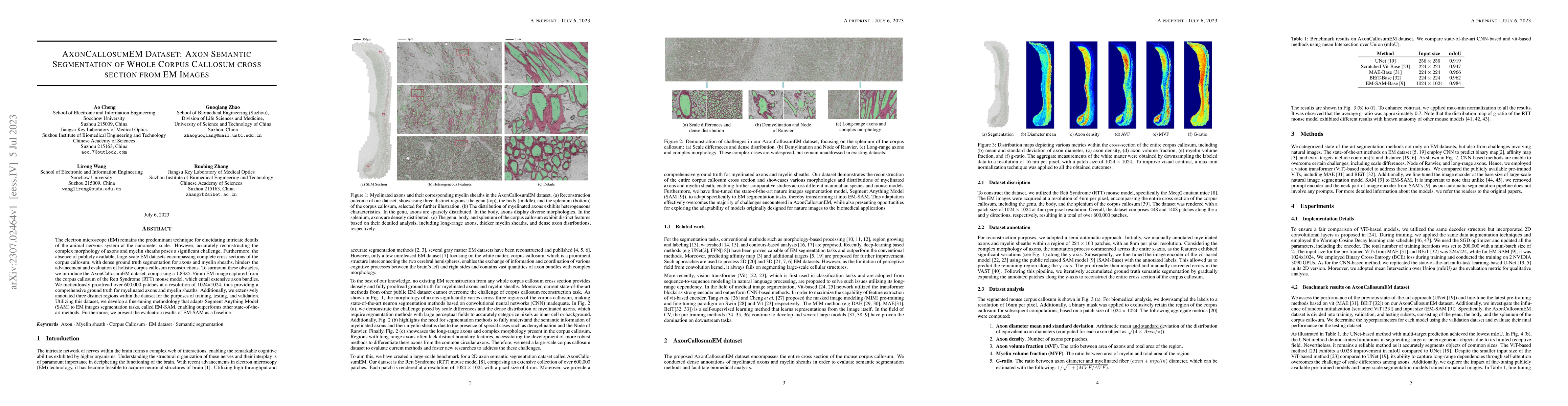 Thumbnail for AxonCallosumEM Dataset: Axon Semantic Segmentation of Whole Corpus
  Callosum cross section from EM Images
